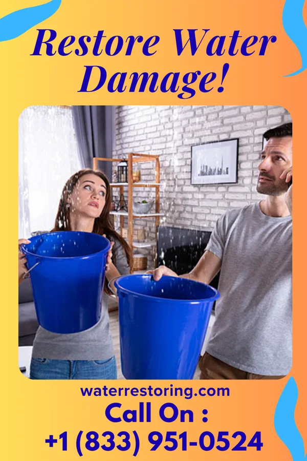 water restoration Southern Water Mitigation LLC Mauston