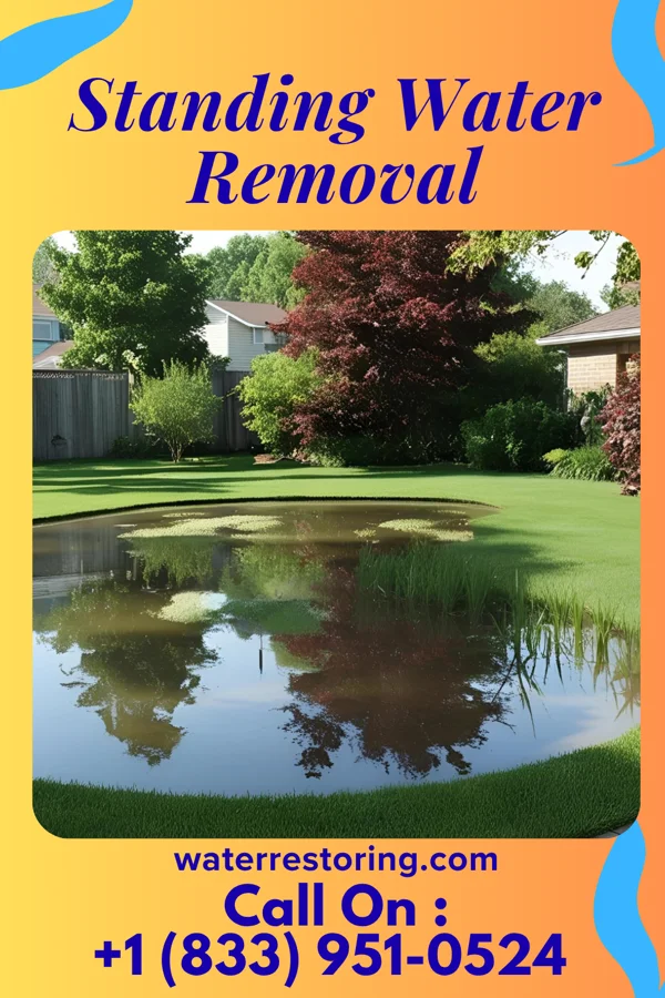 Standing Water Removal in Mauston, WI